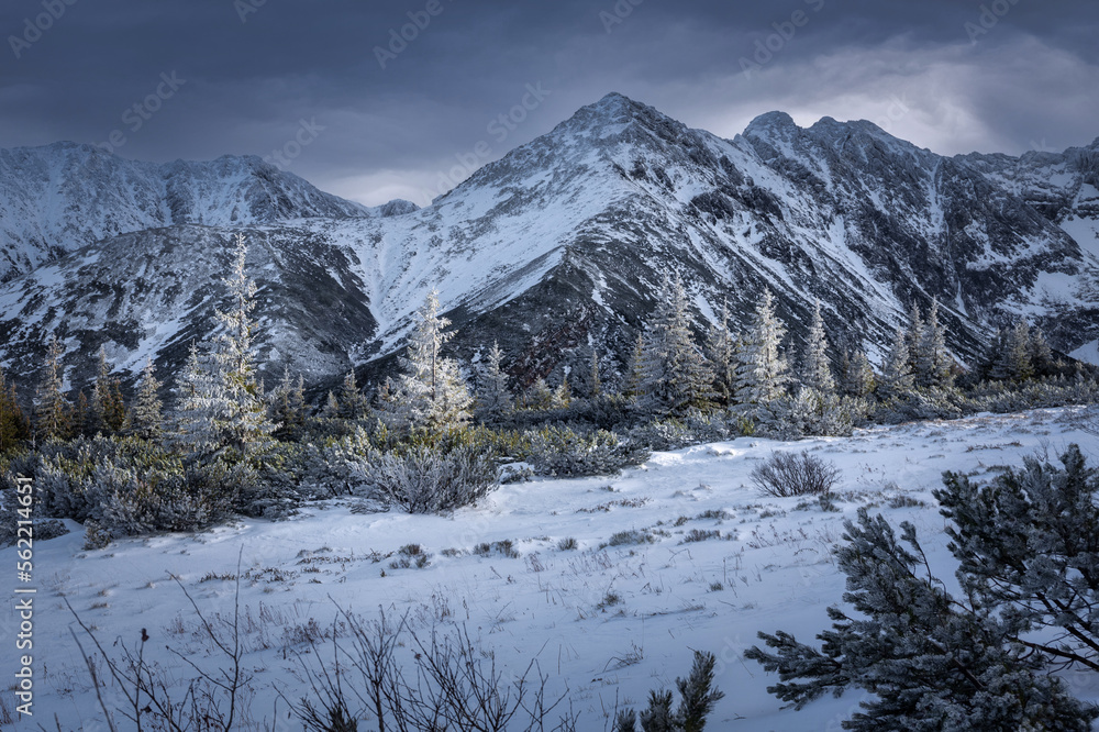 Winter landscape of snowy Tatry Mountains. Poland