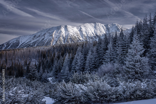 Fototapeta Naklejka Na Ścianę i Meble -  Winter landscape of snowy Tatry Mountains. Poland
