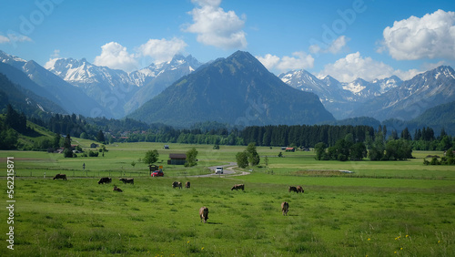 Idyllisches Panorama im Sommer bei Oberstdorf mit Kühe auf der Weide