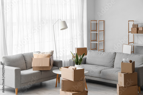 Cardboard boxes with table, sofas and shelving unit in living room on moving day © Pixel-Shot