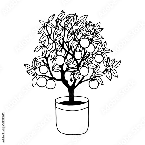 Orange tree. Vector stock illustration eps10. Isolate on white background, hand drawing.