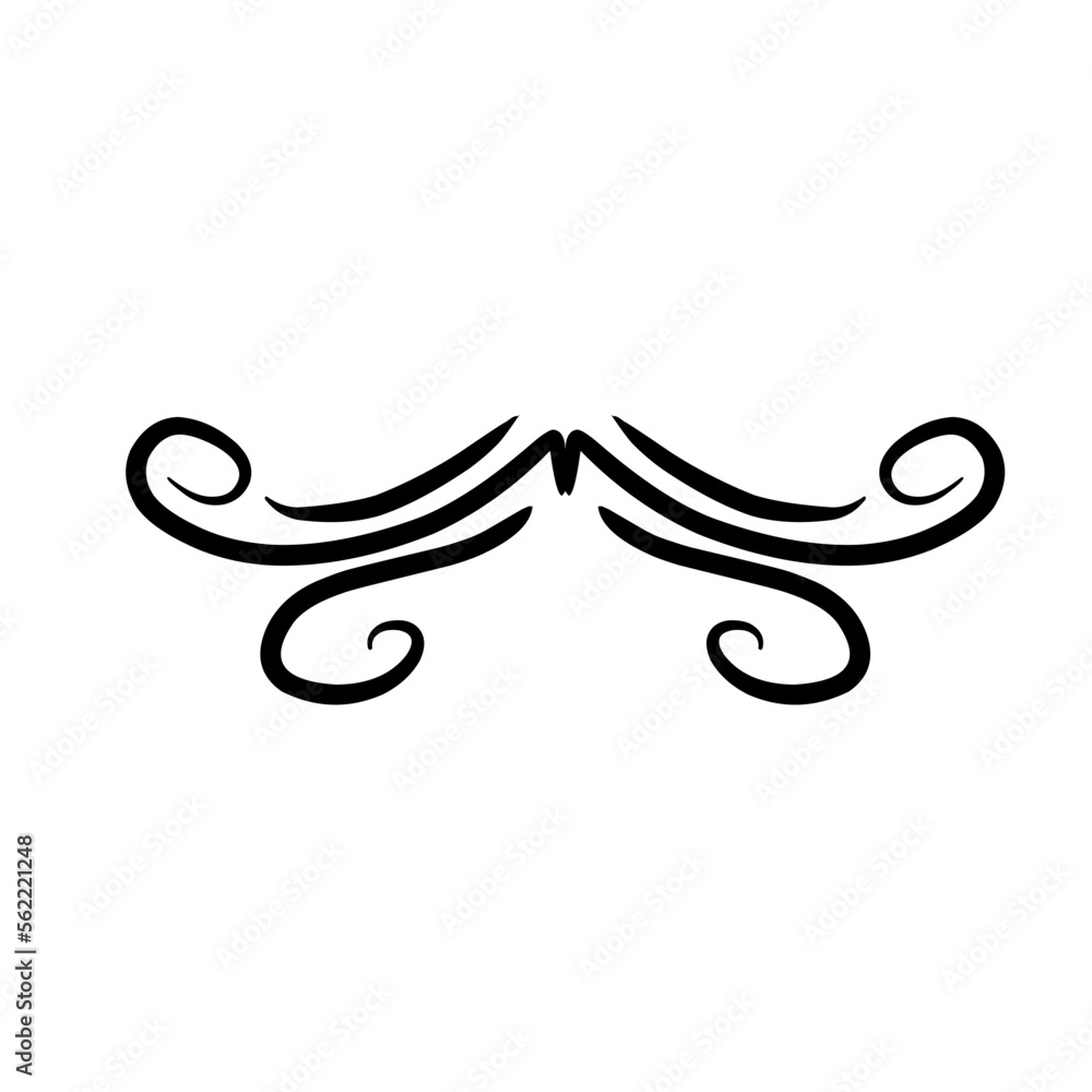 Calligraphic hand drawn divider Calligraphic hand drawn divider