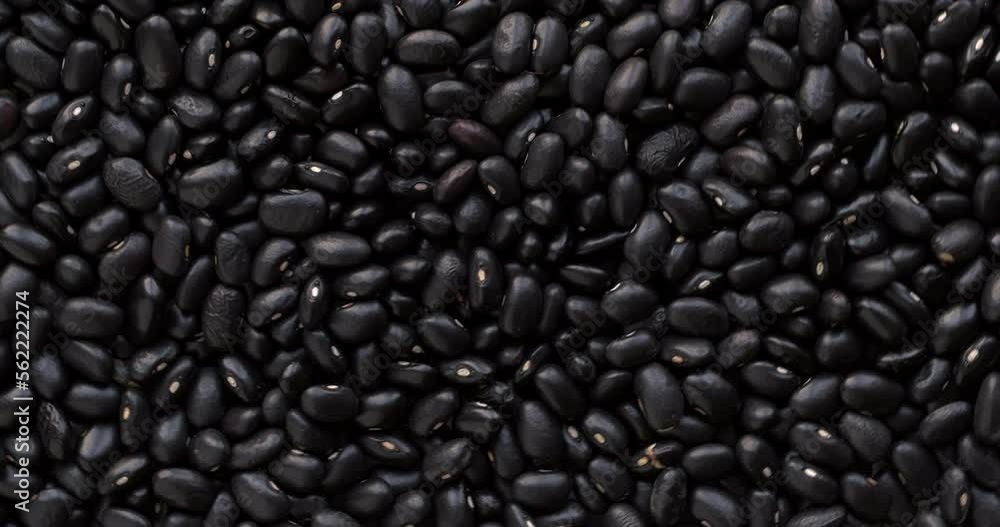 Dried black bean. Table spin. Seamless loop background texture. Dried black bean. Table spin. Seamless loop background texture.