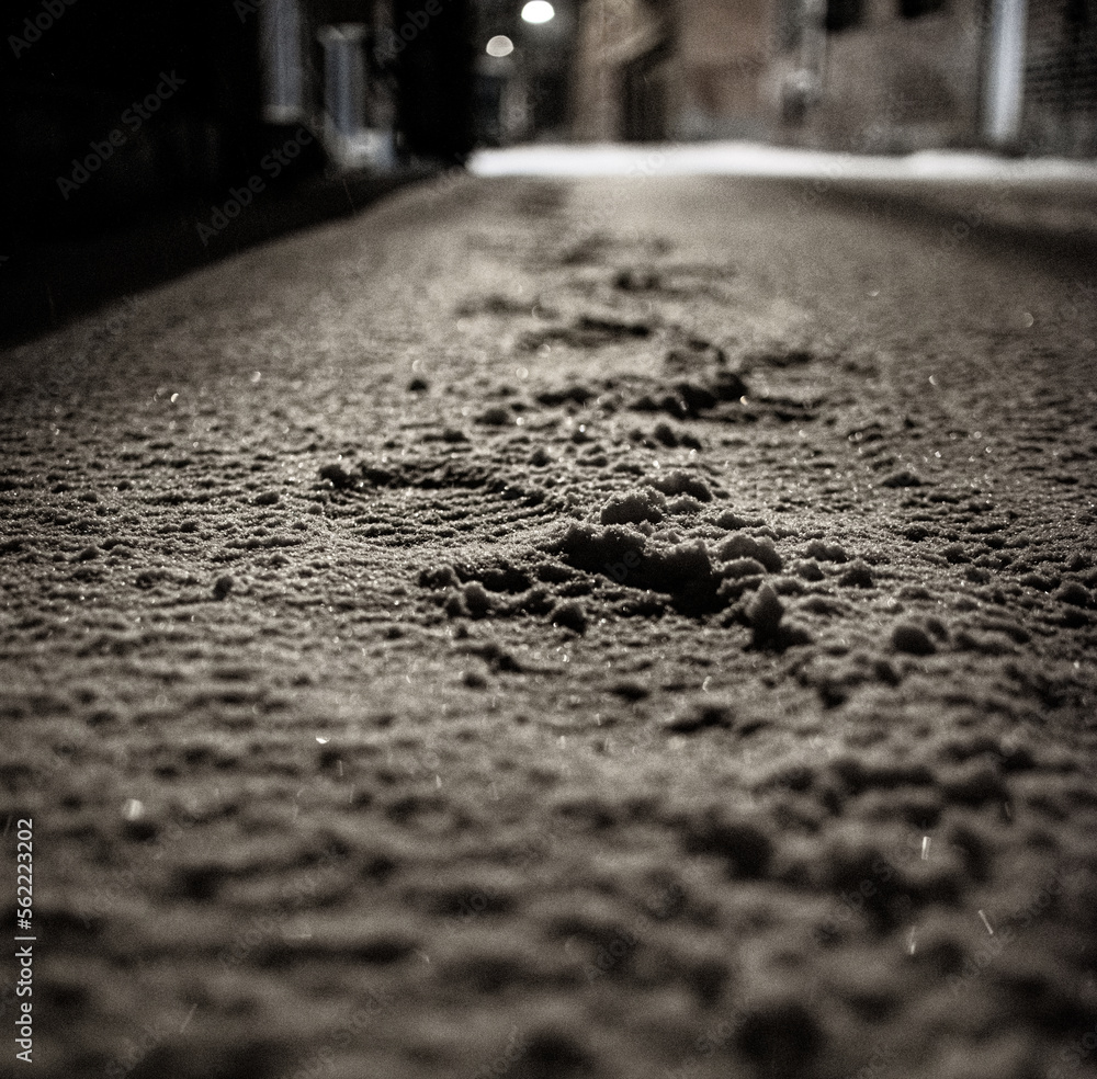 Obraz premium Tracks in the Snow