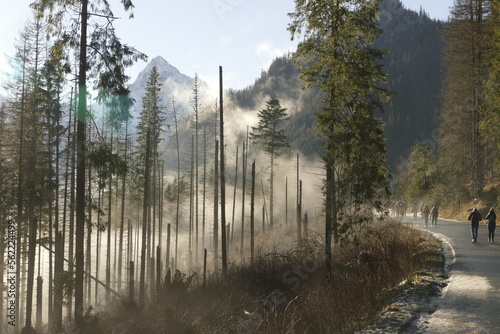 People on the way up to Morskie Oko lake in Tatra mountains in Poland. Fascinating foggy landscape with sunrise.