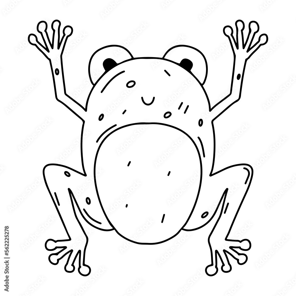 Funny frog in hand drawn doodle style. Cute animal. Coloring page activity. Isolated on white background. Funny frog in hand drawn doodle style. Cute animal. Coloring page activity. Isolated on white background.