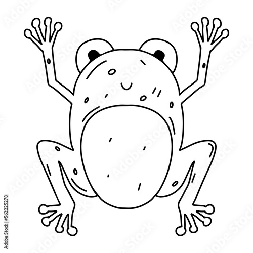 Funny frog in hand drawn doodle style. Cute animal. Coloring page activity. Isolated on white background.