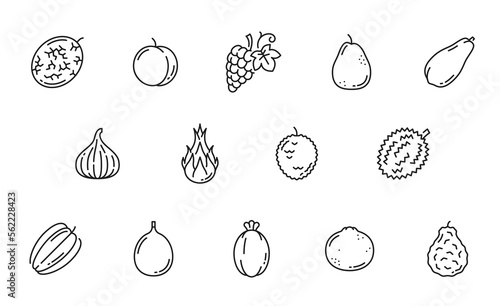 Raw fruit line icons. Melon, apricot or peach, grapes, guava or pear, papaya, fig and pitaya dragon fruit, lychee, durian and bergamot orange, grapefruit, feijoa and carambola outline vecor pictogram