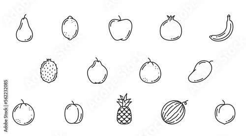 Farm garden raw fruit line icons. Pear, lemon, apple, pomegranate and banana, kiwi, quince, mango and orange, plum, pineapple, watermelon and sapodilla fruits outline vector, minimal pictograms set