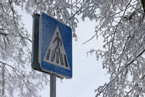 Frost covered trees in city
