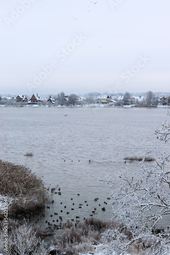 Frost covered trees in city