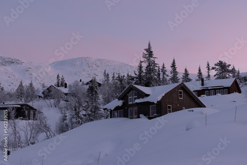 Log Cabin in mountains at winter