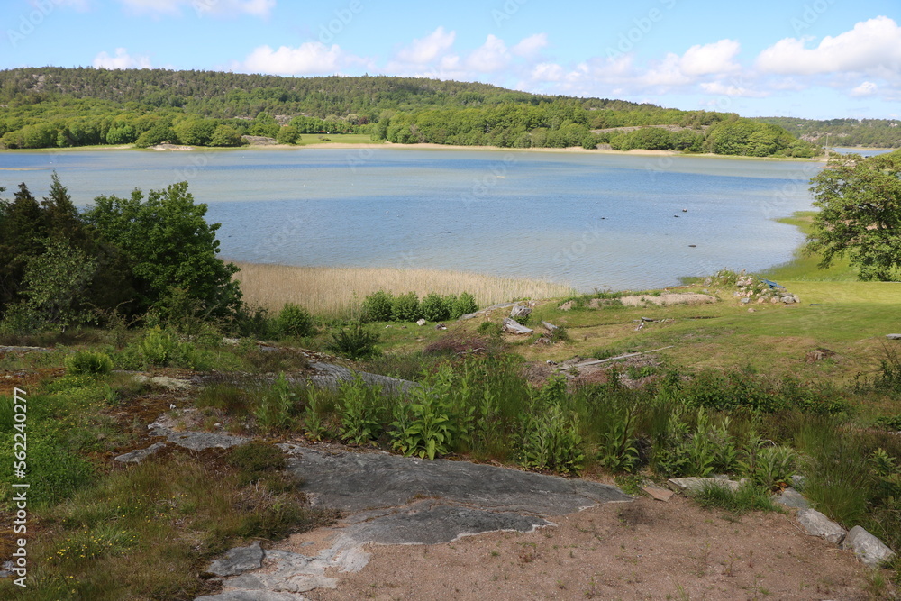 Summer at archipelago island of Tjörn Sundsby kile in Sweden