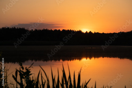 Tranquil Lake Sunset