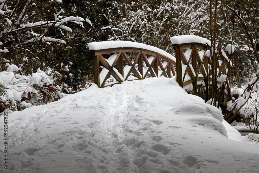 Snowy Path to a Bridge