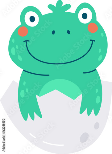 Cute frog hatched from egg flat icon