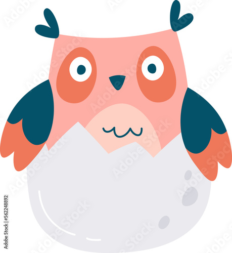 Cute owl hatched from egg flat icon