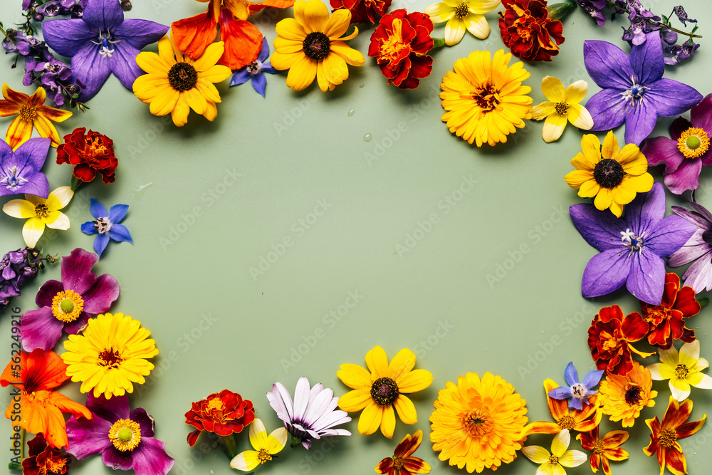 Top view of summer flowers with copy space. Floral frame. Summer concept Top view of summer flowers with copy space. Floral frame. Summer concept