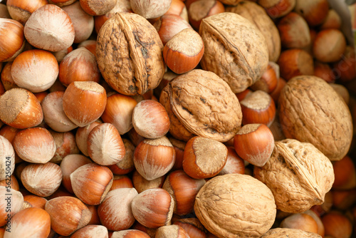 Hazelnuts and walnuts background texture close-up. 