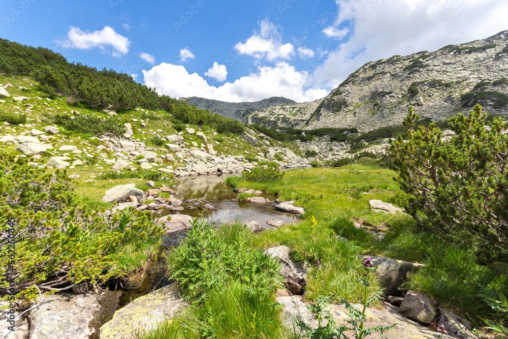 Pirin Mountain around Banderitsa River, Bulgaria Pirin Mountain around Banderitsa River, Bulgaria