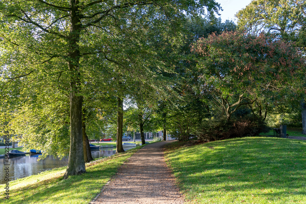 Obraz premium alley in the park