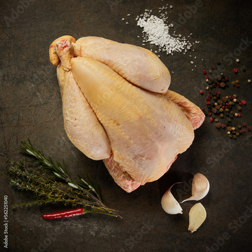 Viande de poulet et volaille