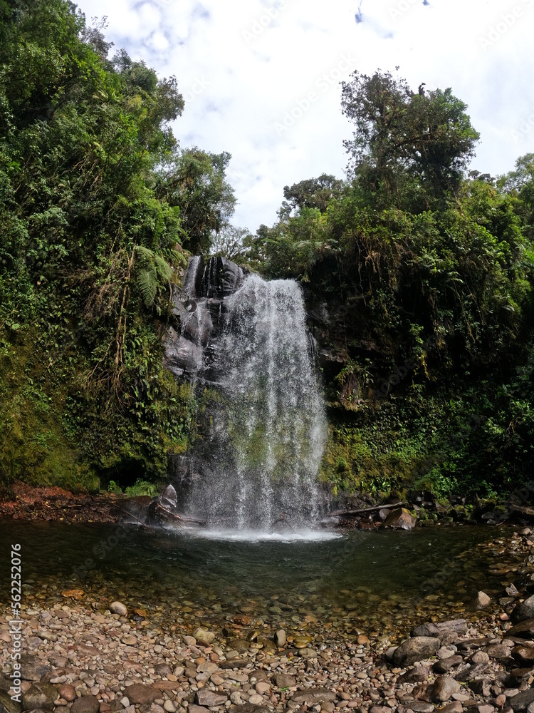 Obraz premium waterfall in the forest