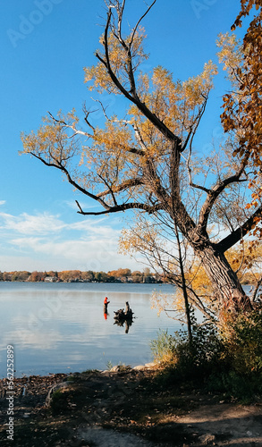 An old tree bent over a lake in which a fisherman fishes. Canada Ontario. Vertical photo.High quality photo