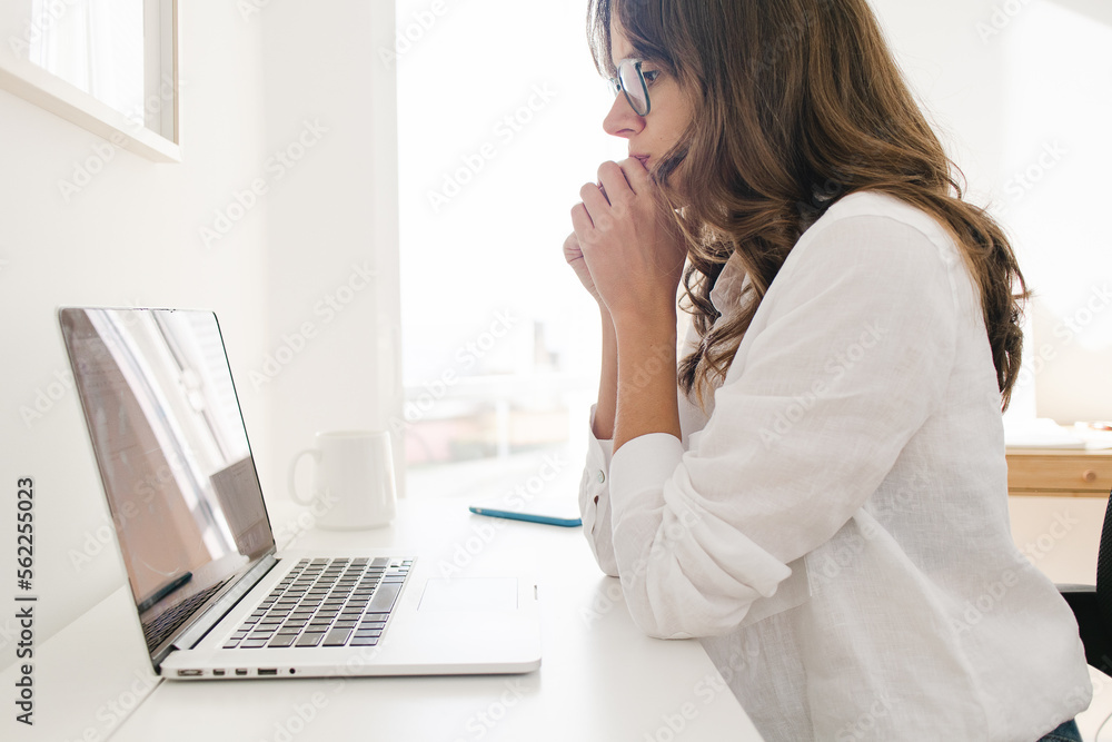 Woman Working from Home Office Entrepreneur Businesswoman Woman Working from Home Office Entrepreneur Businesswoman