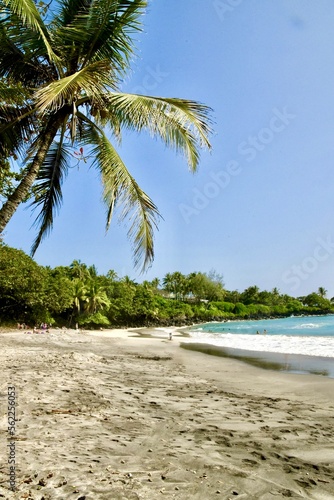 a beautiful sandy beach on the island of Maui © Murray