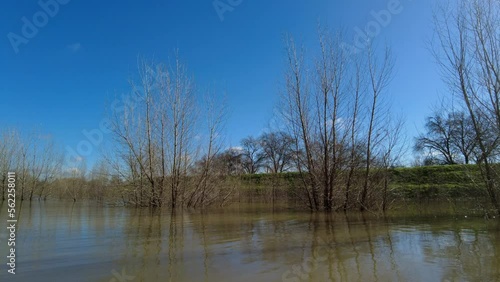 Wallpaper Mural Motion time lapse video of trees flooded on levee of river after storm Torontodigital.ca