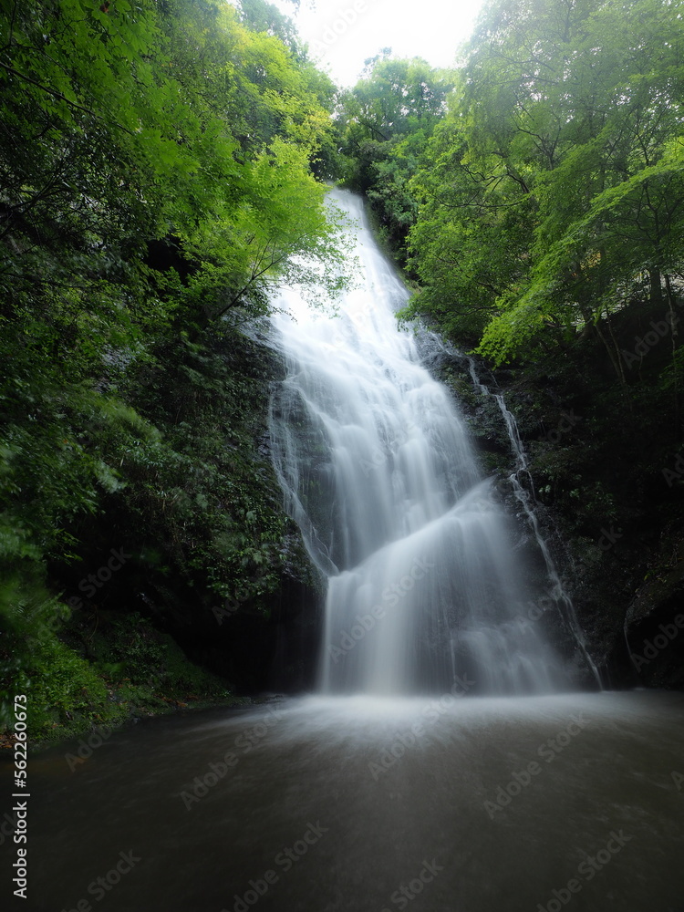 Obraz premium 森の中で勢いよく流れる滝