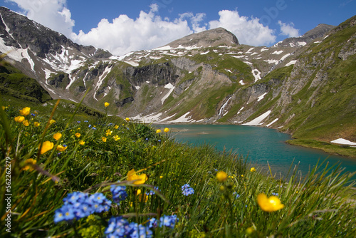 Konstfotografi alpine meadow in the mountains with lake view, blue lake in the mountains with g