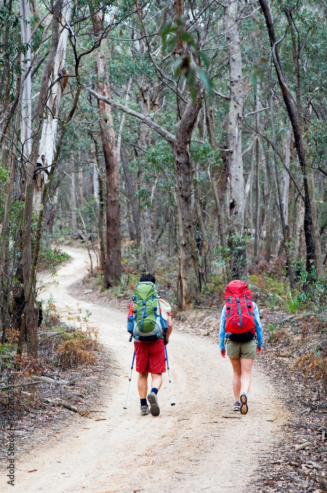 Hikers with backpacks walk along trail. Hikers with backpacks walk along trail.