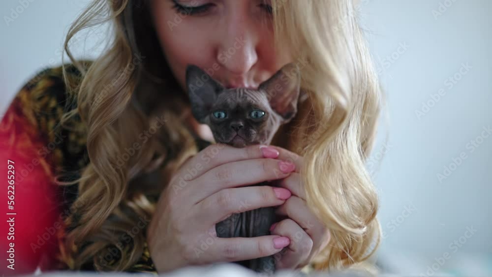 Woman stroking pointed chocolate Devon Rex cat . High quality 4k footage Woman stroking pointed chocolate Devon Rex cat . High quality 4k footage
