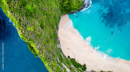Drone Aerial Famous Kelingking Beach in Nusa Penida, Indonesia, Trees and Growth of Cliff