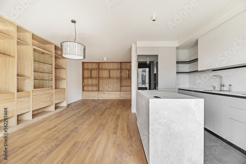 Apartment with a kitchen with smooth gray furniture and an island open to the living room with a custom-made oak bookcase and oak hardwood floors