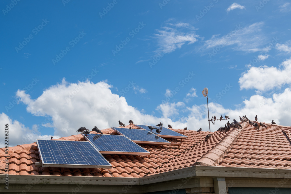 Ταπετσαρία Solar panels on the roof of a house covered with pigeon droppings and roosting p