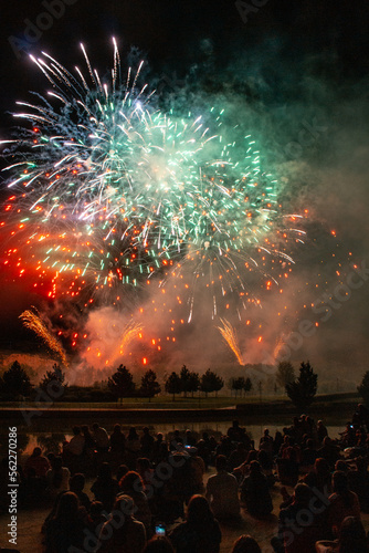Striking photo of fireworks display in bustling urban park with joyful crowd. Bright colors against the night sky create a stunning visual. Captures the excitement and celebratory spirit
