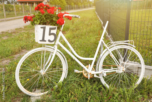 White bicycle with red flowers in basket on street