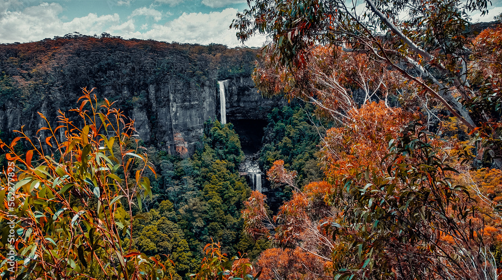Aerial Drone View of Belmore Falls in Budderoo National Park, Australia Aerial Drone View of Belmore Falls in Budderoo National Park, Australia