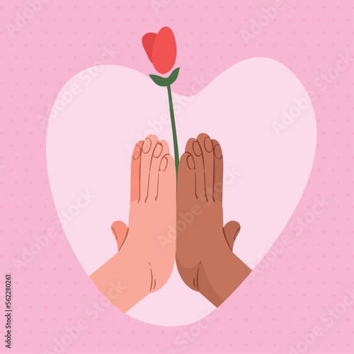 interracial love hands with rose