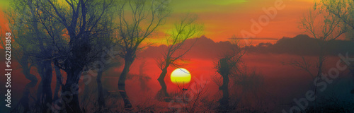 Creepy dark landscape showing forest and trees silhouettes in the swamp at autumn sunset	