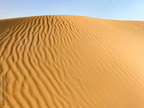 Sand Dune in Desert