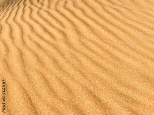 Sand Dune Patterns in Desert