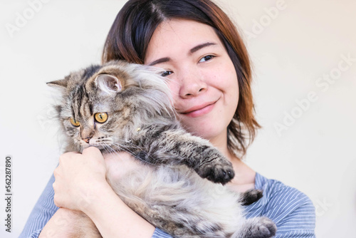 Fototapeta Naklejka Na Ścianę i Meble -  Close up of young Asian woman playing with her persian cat, human-animal relationships.