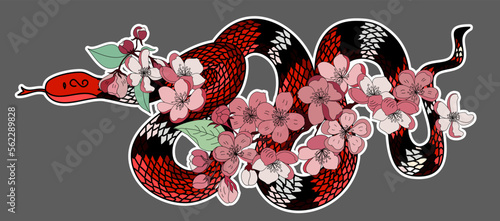 red snake vector and Cherry flower spring season vector illustration background.Poster design Red snake Reptile and Sakura flower for printing and tattoo.