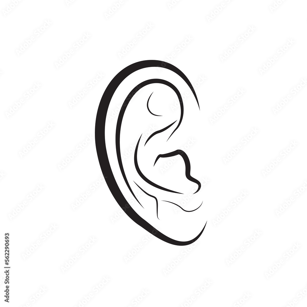 Human ear vector isolated on a white. Hearing, sense organ. Human ear vector isolated on a white. Hearing, sense organ.