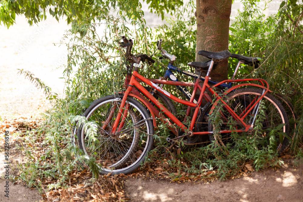 Fototapeta premium Abandoned old rusty bicycles against a tree