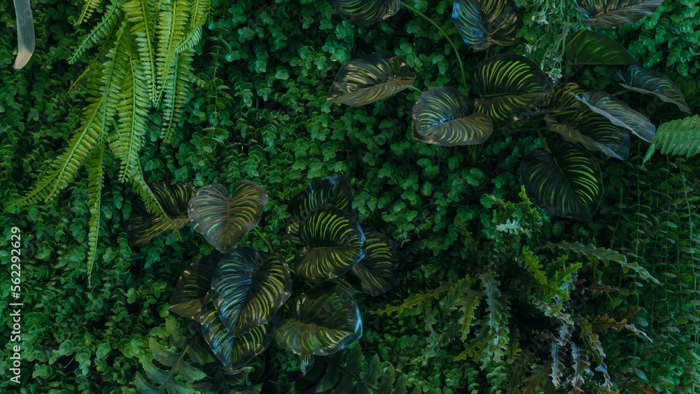 Fototapeta premium Full Frame of colorful Leaves Pattern Background, Nature Lush Foliage Leaf Texture, tropical leaf